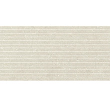 Produktbild: Dekorfliese Rigat-one Shellstone beige 60x120cm