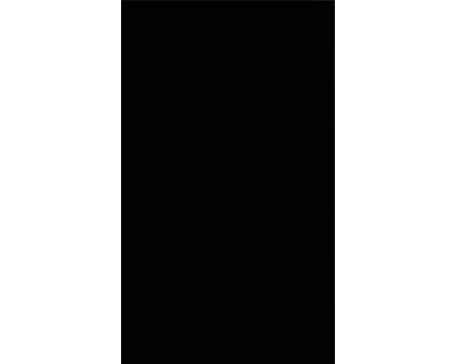 Schwarzbild