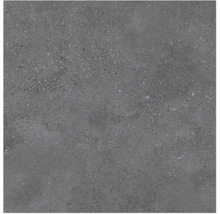 Graue Bodenfliese mit Betonoptik für den Innen- und Außenbereich