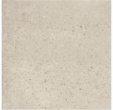 Nahaufnahme einer Bodenfliese in Terrazzo Optik.