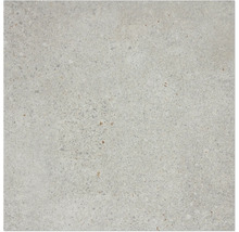 Produktbild: Bodenfliese Piazzetta hellgrau 59,8x59,8 cm