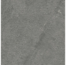 Graue Steinzeugfliese mit matter Oberfläche