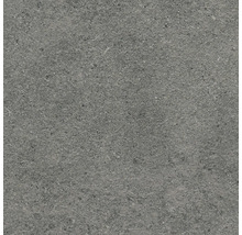 Graue Bodenfliese mit Steinoptik