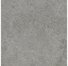 Graue Fliese mit gesprenkelter Oberfläche