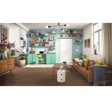 Wohnzimmer mit Sofa, Tisch, Regalen, Schreibtisch und Dekoration