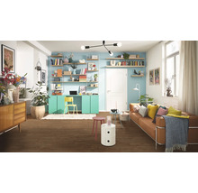 Wohnzimmer mit Regalen, Schreibtisch, Sofa und Holzboden