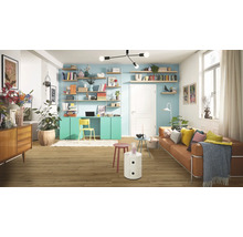 Helles Wohnzimmer mit Holzfußboden, Regalen und Schreibtischkombination