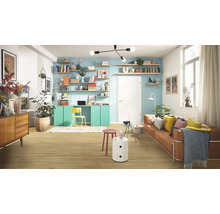 Wohnzimmer mit Sofa, Schreibtisch, Regalen und Holzboden