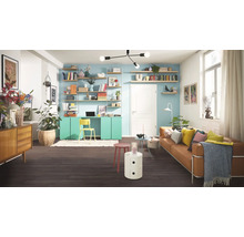 Wohnzimmer mit Sofa, Regalen und Arbeitsbereich