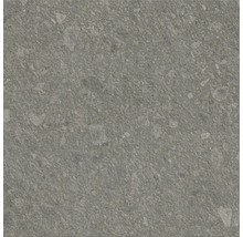 Nahaufnahme einer grauen Steinzeugfliese mit gesprenkelter Textur.