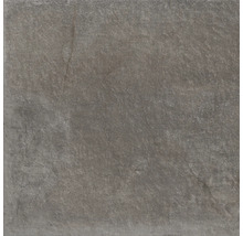 Fliese aus Steinzeug