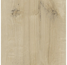 Nahaufnahme einer Holzoberfläche mit Maserung