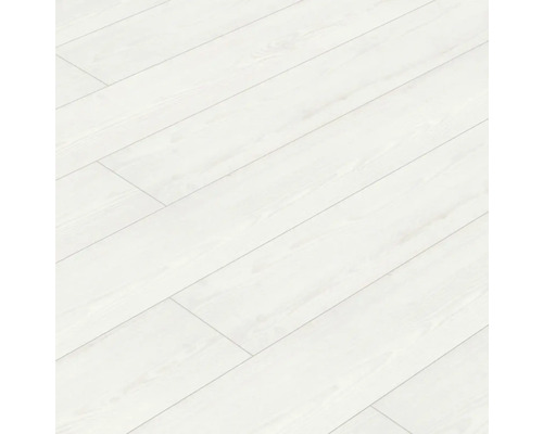 Handmuster Laminat Masterfloor 8.0 Kiefer Kodiak 34308 AT