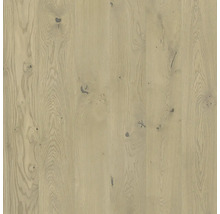 Nahaufnahme von hellem Eichenparkett mit Astlöchern