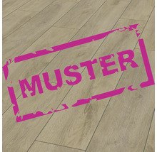 Produktbild: Handmuster Laminat 12.0 Robusto premium Eiche braun