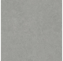 Graue Steinzeugfliese mit matter Oberfläche