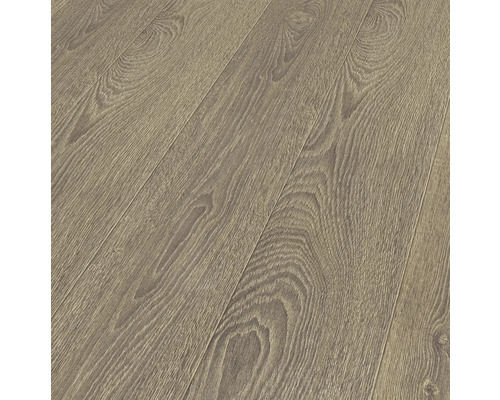 Handmuster Laminat 12.0 Mammut Capital Oak Natur D2999