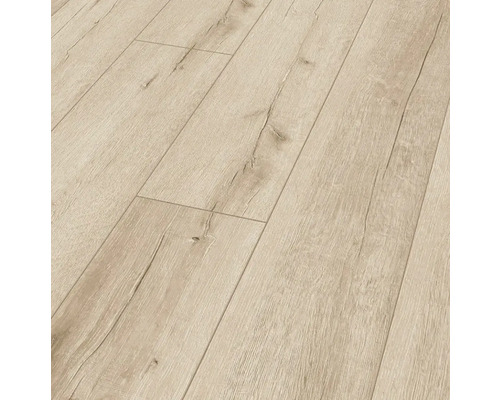 Handmuster Laminat 12.0 Robusto Rip Oak Natur