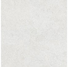Feinsteinzeug Wand- und Bodenfliese Sassi Blanco 60X60 cm