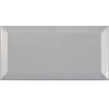 Graue glänzende Wandfliese