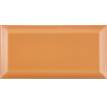 Einzelne Keramikfliese