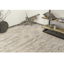 Innenraum mit hellem Holzboden, Dekoration und Regal