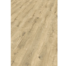 Produktbild: Laminat 8.0 Dunnington Eiche hell 1292 x 193 x 8 mm