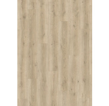 Nahaufnahme von hellem Holzlaminatboden