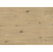 Helle Holzdiele mit Maserung und Astlöchern