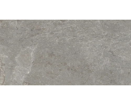 Feinsteinzeug Wand- und Bodenfliese Cool Stone grau matt rektifiziert 29,8 x 59,8 x 0,9 cm