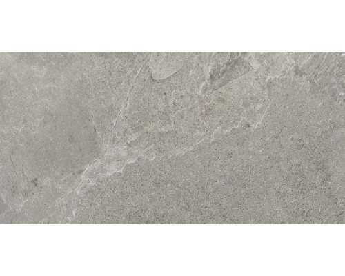 Feinsteinzeug Wand- und Bodenfliese Cool Stone grau matt rektifiziert 29,8 x 59,8 x 0,9 cm