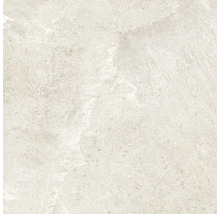 Produktbild: Feinsteinzeug Wand- und Bodenfliese Cool Stone weiß matt rektifiziert 59,8 x 59,8 x 0,9 cm