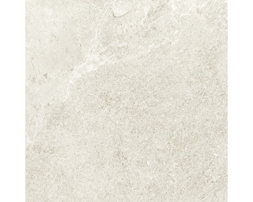 Feinsteinzeug Wand- und Bodenfliese Cool Stone weiß matt rektifiziert 59,8 x 59,8 x 0,9 cm