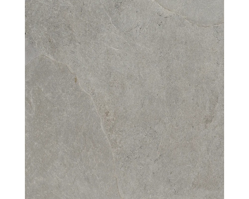 Feinsteinzeug Wand- und Bodenfliese Cool Stone grau rektifiziert 59,8 x 59,8 x 0,9 cm