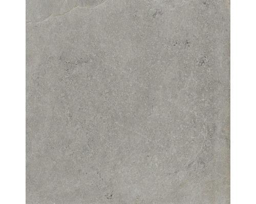 Feinsteinzeug Wand- und Bodenfliese Cool Stone grau rektifiziert 59,8 x 59,8 x 0,9 cm