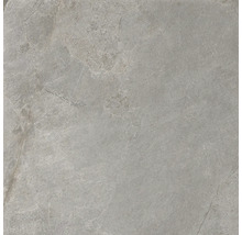 Produktbild: Feinsteinzeug Wand- und Bodenfliese Cool Stone grau rektifiziert 59,8 x 59,8 x 0,9 cm