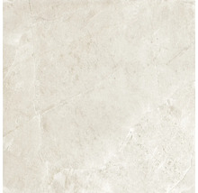 Produktbild: Feinsteinzeug Wand- und Bodenfliese Cool Stone weiß matt rektifiziert 119,8 x 119,8 x 0,9 cm
