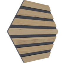 Sechseckiges Akustikpaneel mit Holzrippen