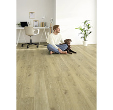 Heller Wohnraum mit Laminatboden, Schreibtisch, Mann und Hund