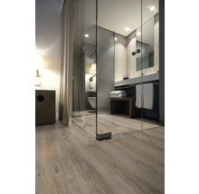 Modernes Badezimmer mit Glasdusche, Waschbecken und Holzfußboden für ein helles und geräumiges Ambiente.