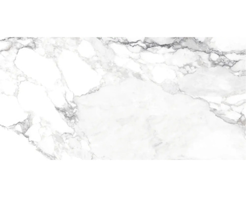 Wand- und Bodenfliese Haute white 60x120cm shaped