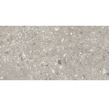 Produktbild: Bodenfliese Marazzi Mystone Ceppo di Gre greige 60x120cm