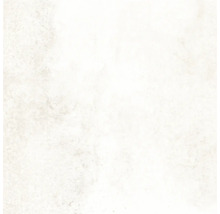 Produktbild: Bodenfliese Globus Platinum 60x60cm rektifiziert
