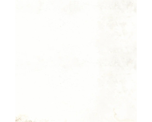 Bodenfliese Globus Platinum 60x60cm rektifiziert