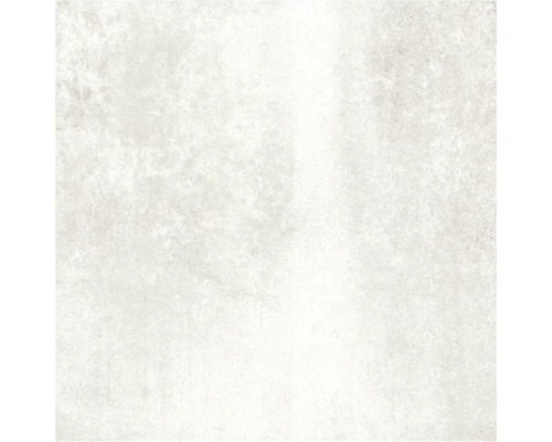 Bodenfliese Globus Platinum 60x60cm rektifiziert