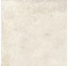 Produktbild: Wand- und Bodenfliese Midway beige 60x60 cm matt rektifiziert