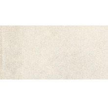 Produktbild: Wand- und Bodenfliese Midway beige 60x120 cm matt rektifiziert