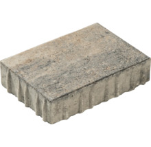 Einzelner Pflasterstein