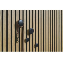 Holzpaneel mit vier runden Kleiderhaken und einer Hundeleine