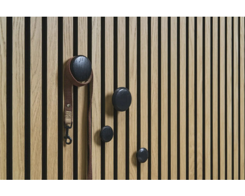 Produktbild 2 (groß) Holzpaneel mit vier runden Kleiderhaken und einer Hundeleine